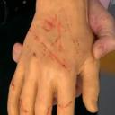 Болезни животных людям
