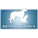 Об онлайн консультации ветеринара