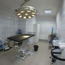 Организация ветеринарной клиники и ветеринарного кабинета